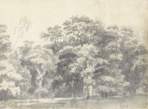 Trees on a River Bank - view 1