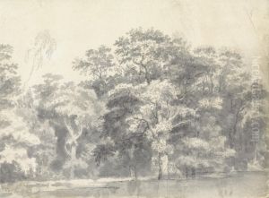 Trees on a River Bank Trees on a River Bank