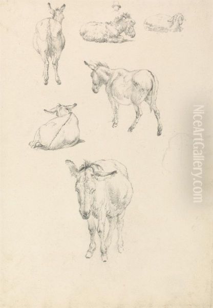 Lying, Walking, Standing, Sitting - view 1