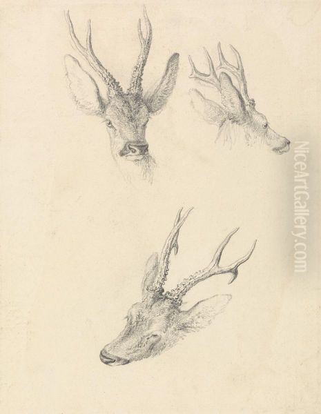 three studies - view 1