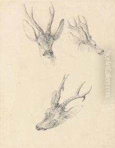 three studies by Robert Hills