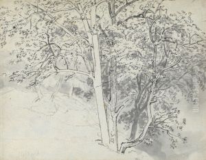 Study of Trees Study of Trees
