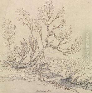 Footbridge Over a Stream Near a Willow Tree