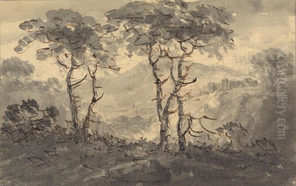 Fir Trees in a Mountain Landscape - view 1