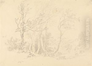 Study of a Holly Tree by Robert Hills