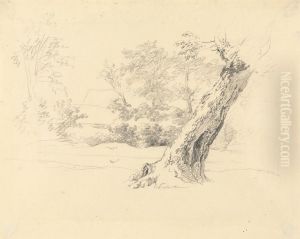 Tree Study by Robert Hills