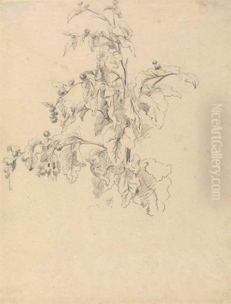 Study of Foliage - view 1