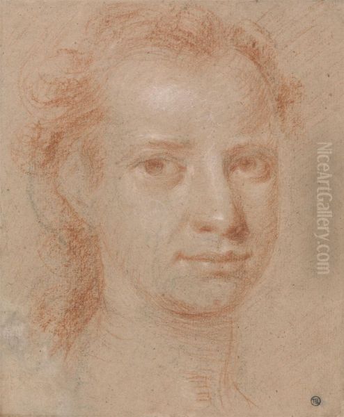 Head of a Young Woman or Man - view 1