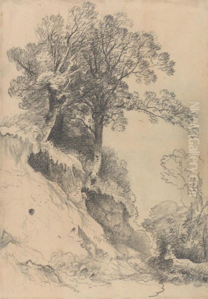 Trees on a Crumbling Bank - view 1