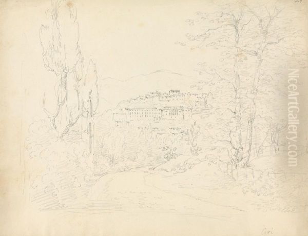 Cori - view 1