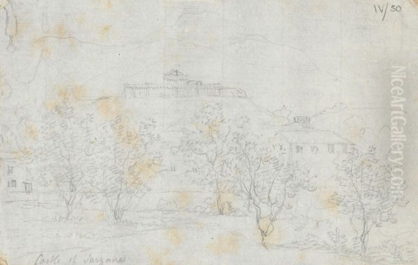 Castle of Sarzana - view 1