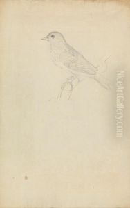 A Hedge Sparrow