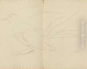 A Magpie by James Sowerby