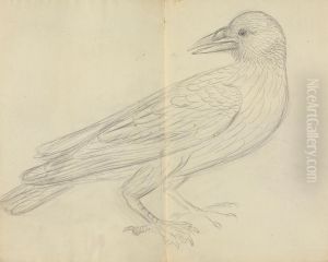 A Crow
