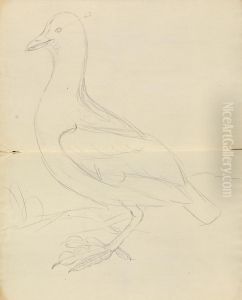 A Bird