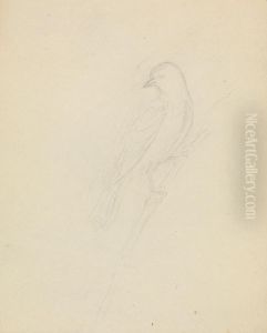 A Bird by James Sowerby