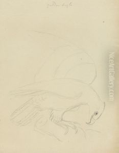 An Eagle? An Eagle?