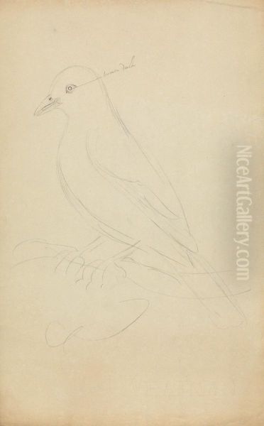 A Blackbird - view 1