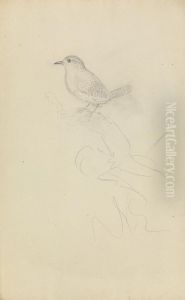 A Wren A Wren