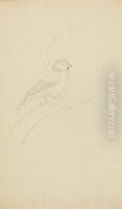 A Blue Tit