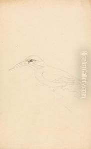 A Kingfisher