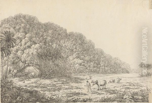 View in the Island of Pulo Condore - view 1
