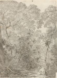 The Fan Palm of Cracatoa by John Webber