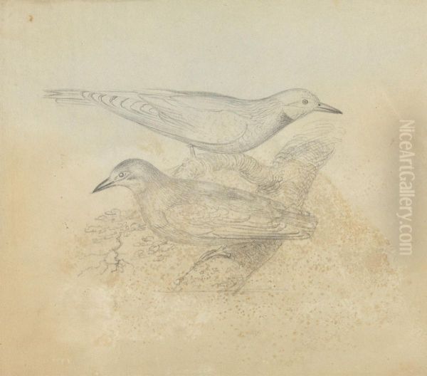 Two Birds on a Branch - view 1
