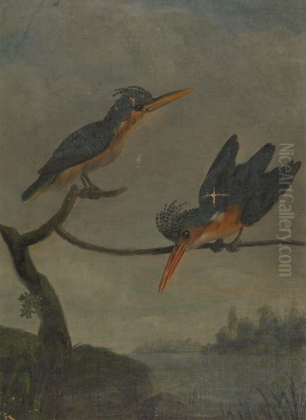 Two Kingfishers beside a Lake - view 1