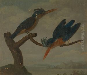 Two Kingfishers beside a Lake