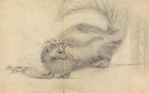 A Skunk (Zorille?) with another skunk in background