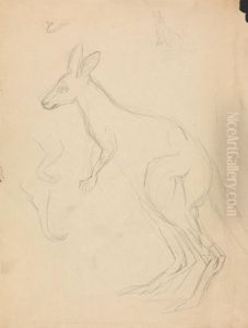 Two kangaroos with details