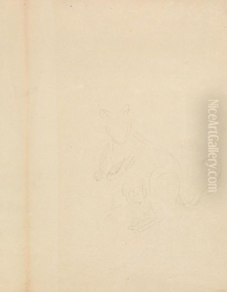 Slight Sketch of a Kangaroo - view 1