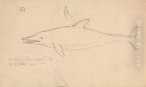 A Porpoise? by James Sowerby
