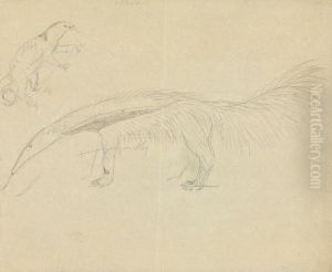 Two Anteaters