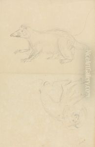 A Mammal (coatimundi?) and a Primate (Marmoset?). A Coatimundi and a Lion-Headed Marmoset by James Sowerby