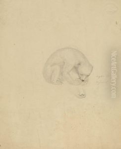 A Bear