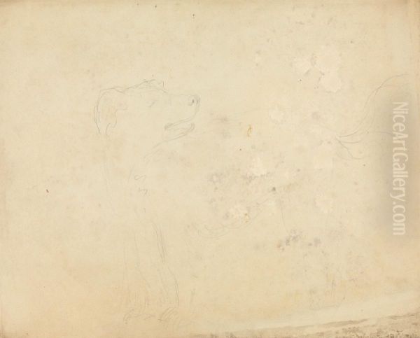 Slight sketch of a dog - view 1