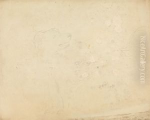 Slight sketch of a dog by James Sowerby