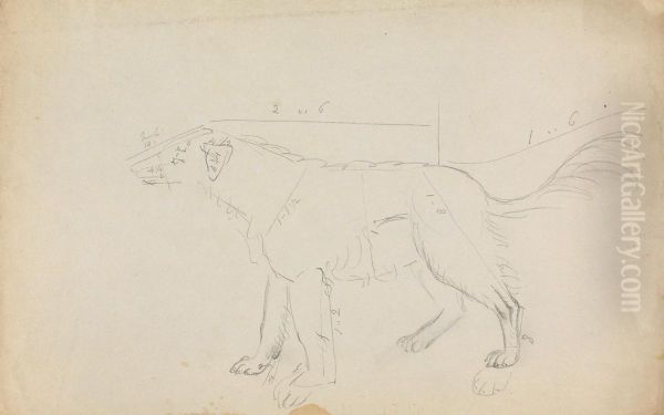 A Dog (marked with measurements) - view 1