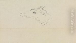 A Dog's Head by James Sowerby