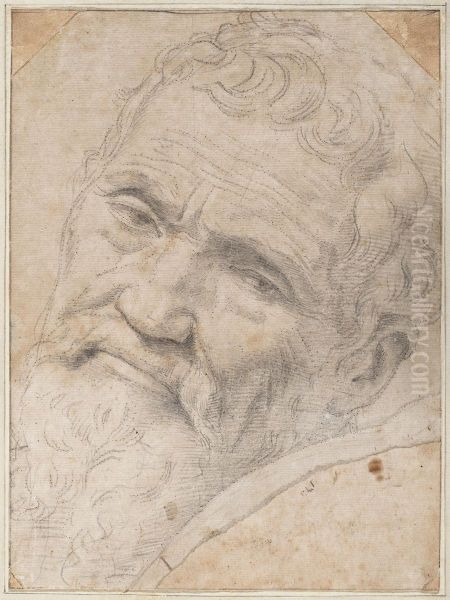 Portrait ofMichelangeloBuonarroti - view 1