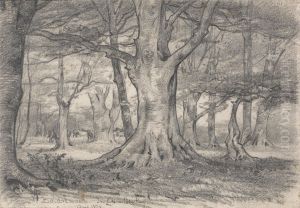 A Forest Landscape near Boldrewood