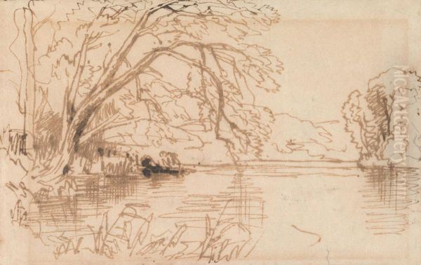 A Tree Overhanging a River - view 1