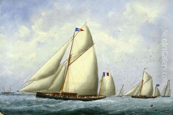 Course de cotres, 1882 - view 1