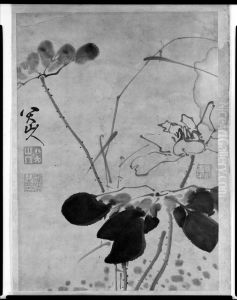 SUMI ALBUM LEAF OF THREE LOTUS FLOWERS by Bada Shanren
