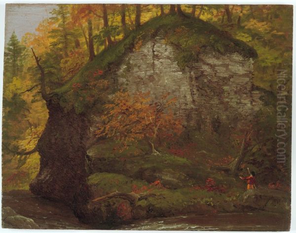 Landscape - view 1