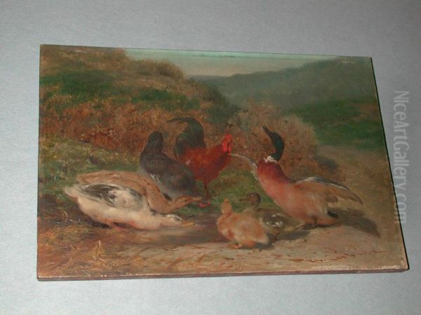 Ducks and Chickens - view 1