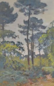 Sous-bois by Louis Alexandre Cabie