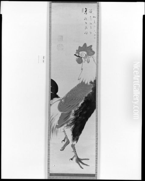 Rooster - view 1